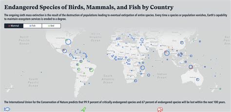 Image result for Animal Data Visualization