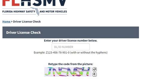 Image result for Florida DMV License Check