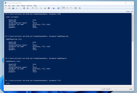 PowerShell Advanced Function に対する画像結果
