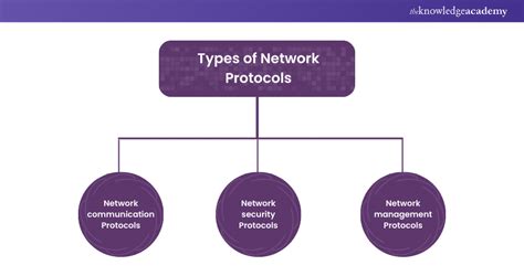 Network Protocols: Definition, Types, and How They Work
