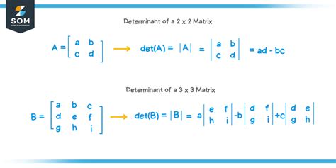 Image result for Determinant of a Matrix Example