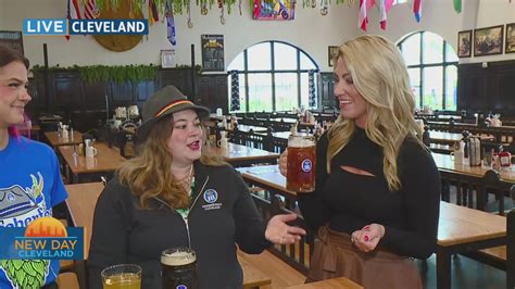 Image result for AC Unity Elpidios