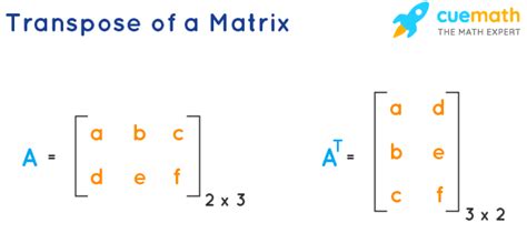 Image result for Transpose of Matrix Answersheet