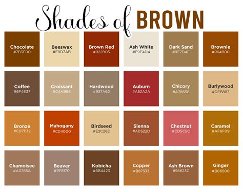 165 Shades of Brown: Color Names, Hex, RGB, CMYK Codes