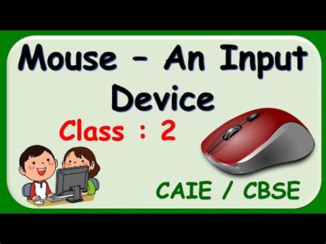 Image result for Mouse Input Device Explained CBSE