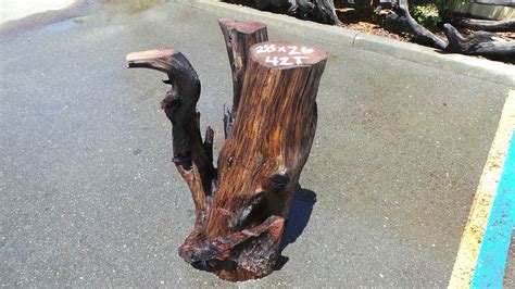 Afbeeldingsresultaten voor Tree Trunk Table Base