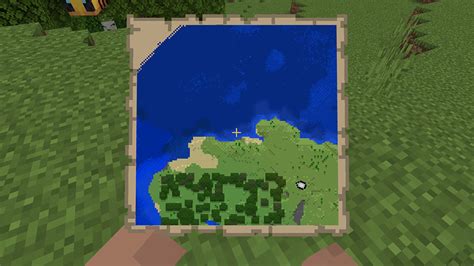 Unique Locator Map に対する画像結果