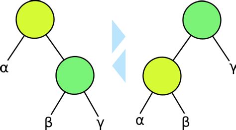 Tree Rotation માટે ઇમેજ પરિણામ