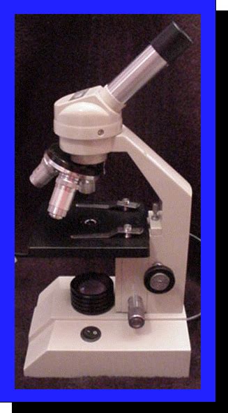 Image result for Modern Compound Light Microscope