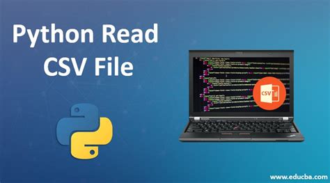 Toradh íomhá ar How to Install CSV File in Python