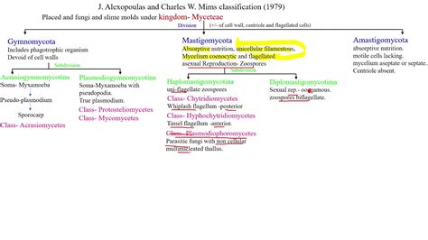 Flow Chart of Alexopoulos and Mims Classification に対する画像結果