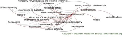 Image result for Duplication Disease