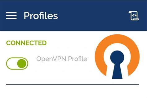Image result for OpenVPN Raspberry Pi