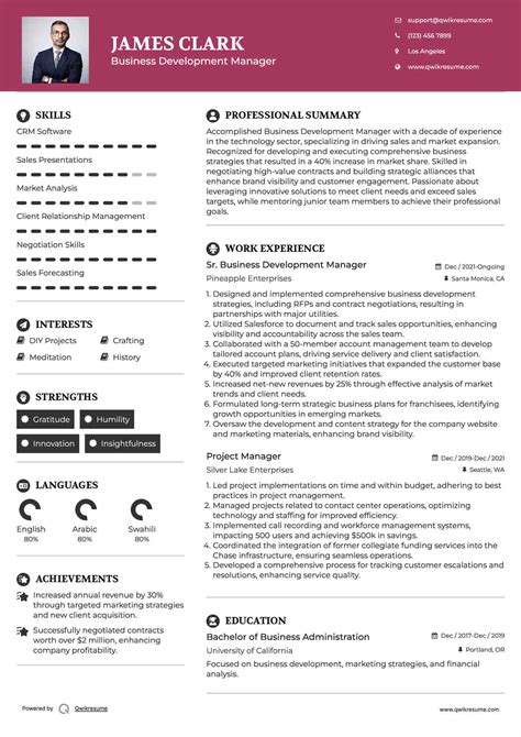 Resume Business Development Manager Format に対する画像結果