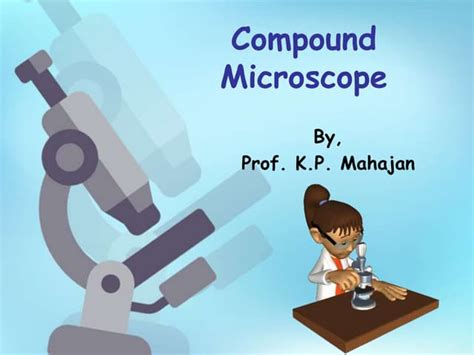 Image result for Compound Microscope Stage