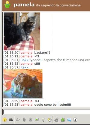 Afbeeldingsresultaten voor Upload File via HTTP