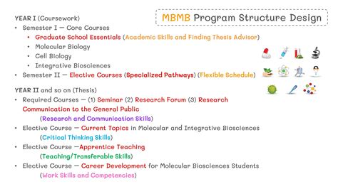 Image result for Program Structure