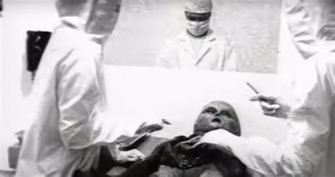 Image result for Alien Autopsy Toy