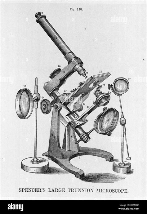 Image result for 1886 Modern Compound Light Microscope