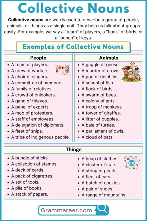 Image result for Collective Nouns Examples
