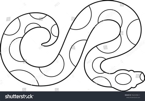Image result for Python Outline Drawing