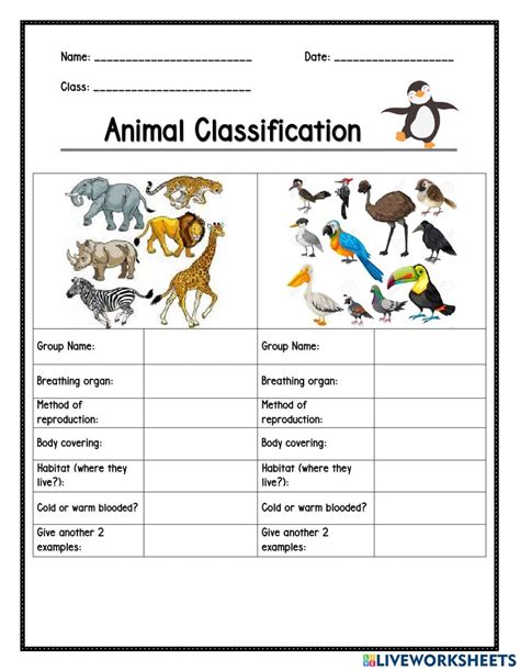 Afbeeldingsresultaten voor Animal Classification Worksheet 9th Grade