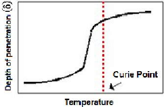 Image result for Curie Point Graphical Representation