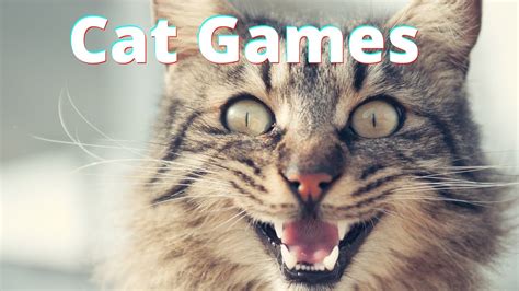 Image result for Www.youtube Com Games for Cats