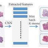 Deep Learning Algorithms in Python Chart Flow に対する画像結果