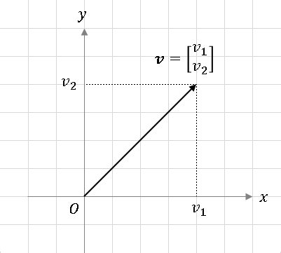 Vector Python に対する画像結果