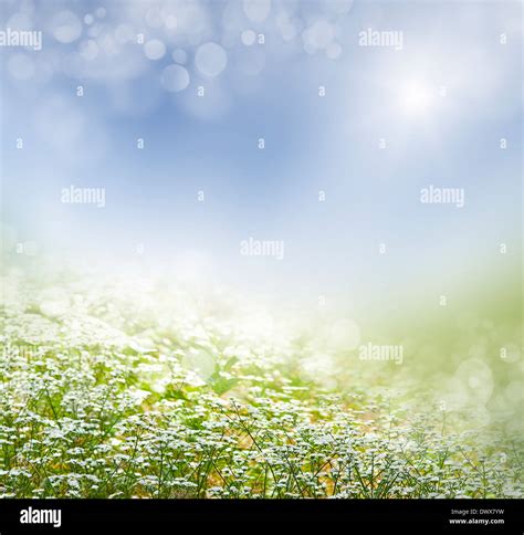 Toradh íomhá ar Abstract Spring Background