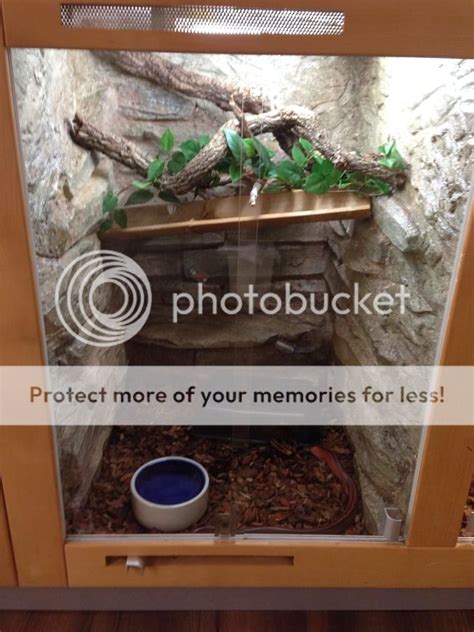 Toradh íomhá ar Green Tree Python Cage