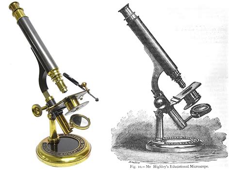 Image result for 1886 Modern Compound Light Microscope