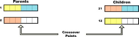 Image result for Order Crossover Genetic Algorithm
