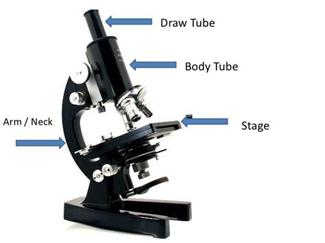 Image result for Compound Microscope Stage