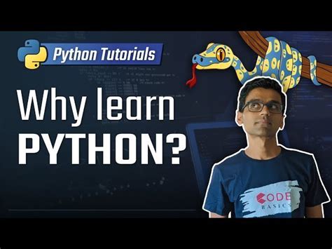 Image result for Python Programming Videotutorial
