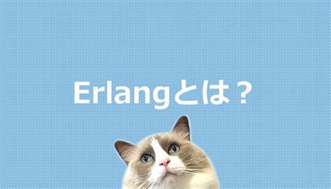 Erlang Tool に対する画像結果