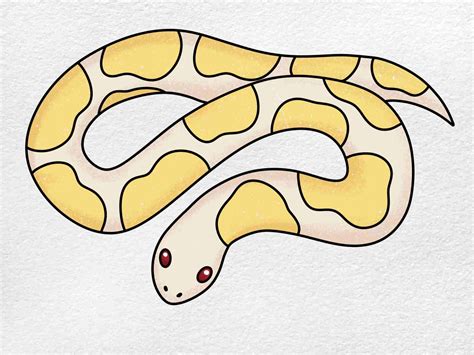 Image result for Graffiti Ball Python
