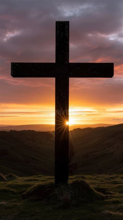 Image result for Cross-Platform Mobile Development Tools