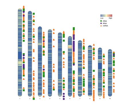 Image result for Graphics in Python