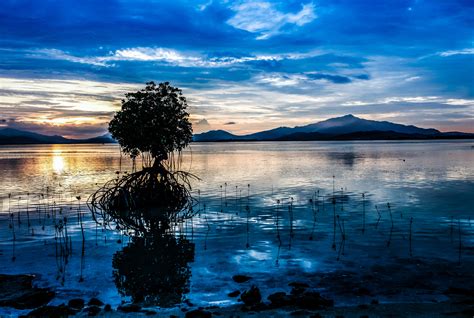 Image result for reflection shape geometry