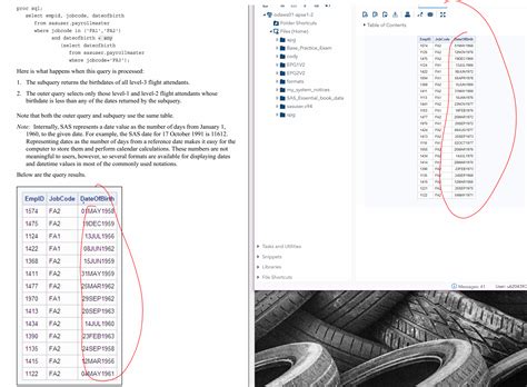 Advanced SAS Code に対する画像結果