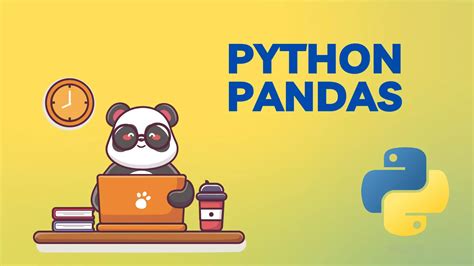 Image result for Pandas Python Playing