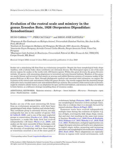 Image result for Rostral Dex