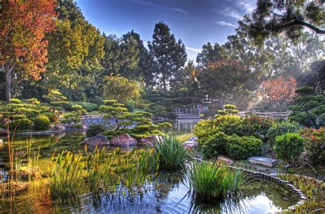 Zen Sunbeam Serenity: Japan’s Autumn Garden in 4K Ultra HD