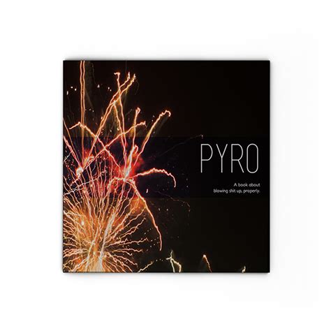 Image result for Pyro Book Pytorch