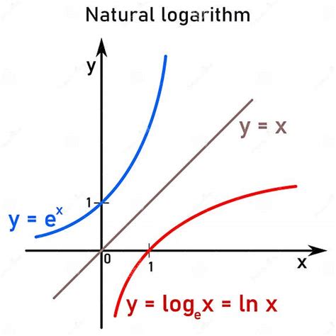 Afbeeldingsresultaten voor Natural Exponential Function