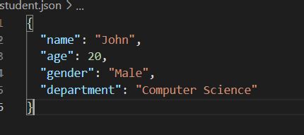 Image result for Write JSON