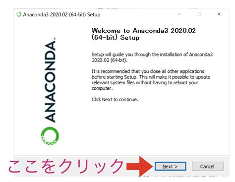 Anaconda Python に対する画像結果