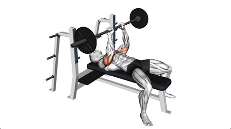Image result for Cable Tricep Exercises